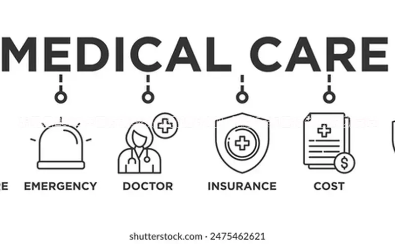 杏宇代理登录中心